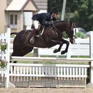 Meet your Posher, Caleb